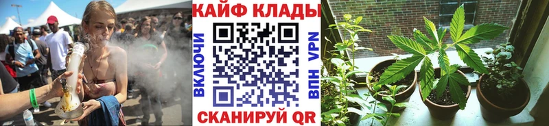 Где найти наркотики Александров АМФЕТАМИН  Каннабис  МЕТАДОН  МЕФ  ГАШИШ  СК  COCAIN 