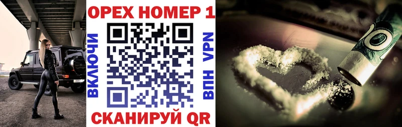 OMG вход  купить  цена  Александров  КОКАИН FishScale 
