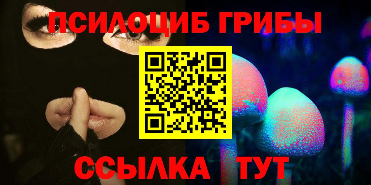 наркошоп  Вход с VPN  Александров  Псилоцибиновые грибы Magic Shrooms 